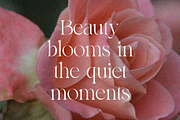 Bayari, a Serif Font by zaaintype (Thumbnail 9 of 11)