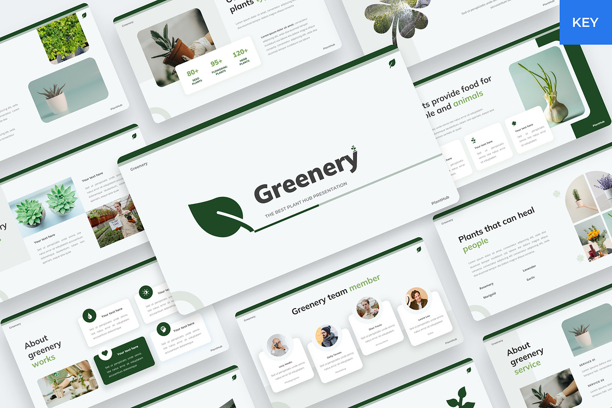 Plants and vegetation Keynote, a Presentation Template by BeadyLab (Photo 1 of 6)