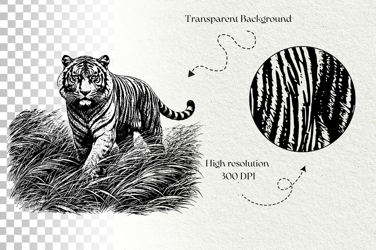 Jungle Tiger SVG Graphics, an Animal Illustration by DENIDigitalArtSudio (Photo 8 of 8)