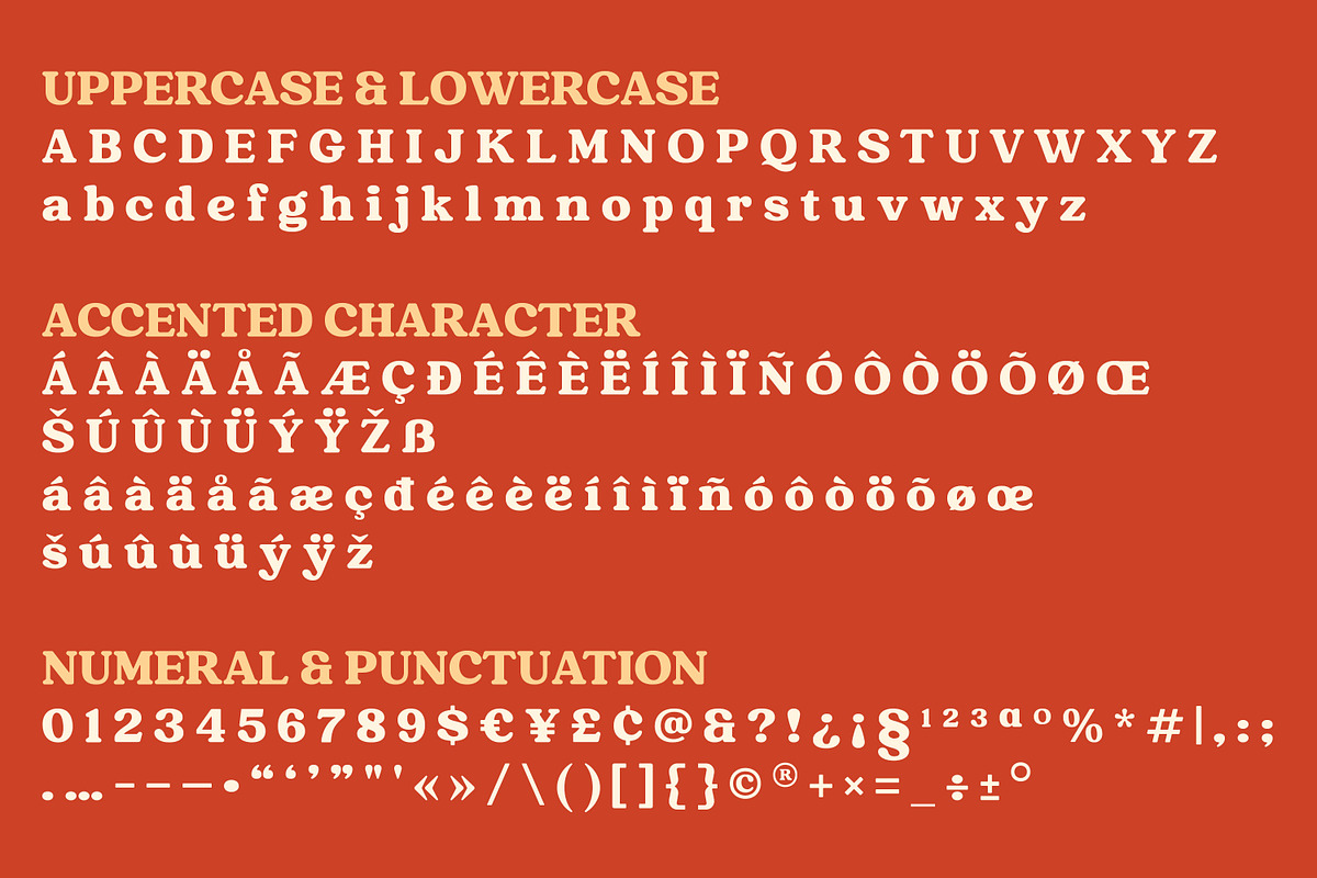 Raspberie - Retro Modern Font, a Serif Font by Variatype (Photo 14 of 15)