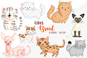Cat Breed Clipart - Cute Animal, an Animal Illustration by Inkley Studio (Thumbnail 1 of 2)