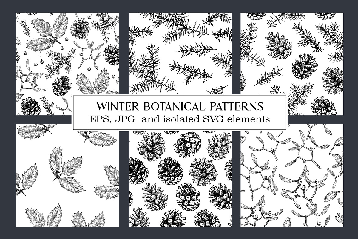 Winter botanical patterns, a Seasonal Illustration by Robusta (Photo 1 of 8)