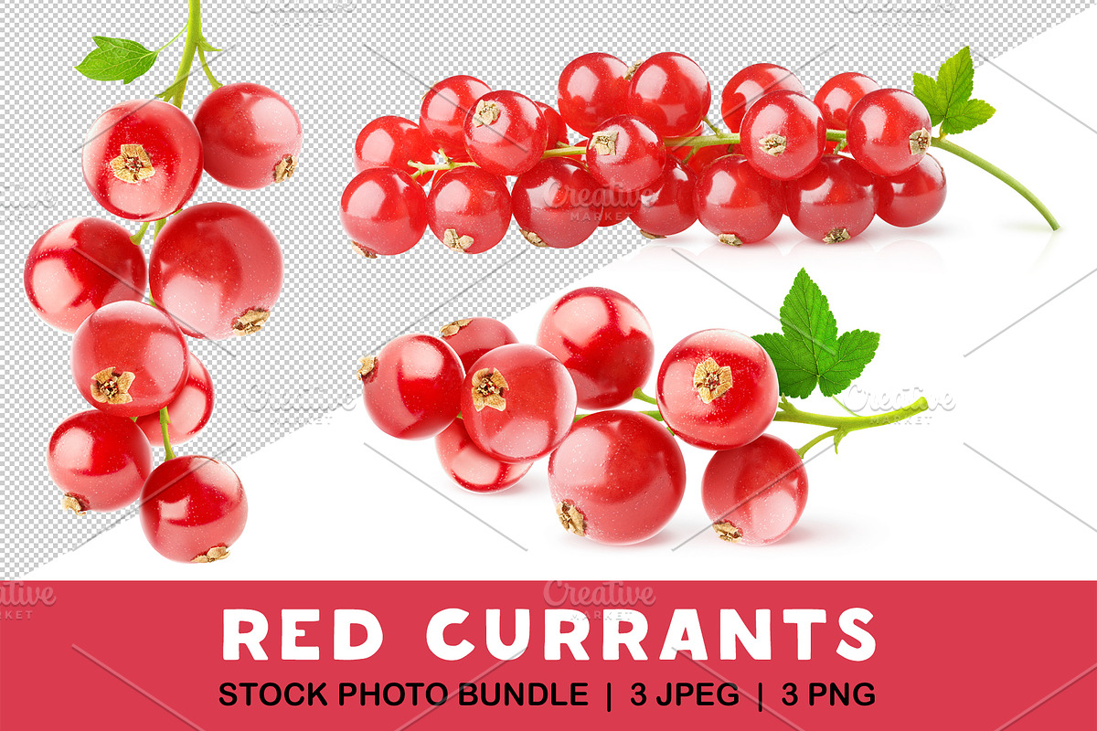 Bunch of red currants