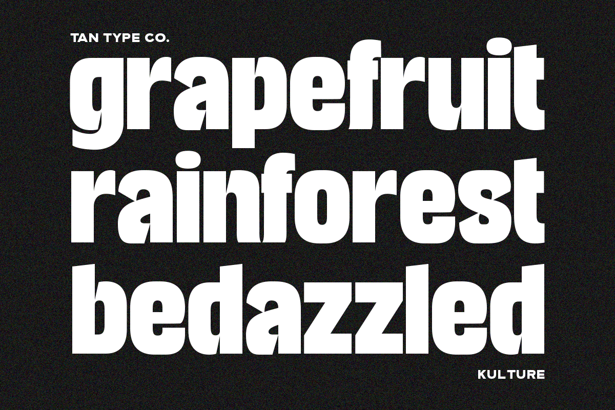 TAN - KULTURE, a Font by TanType (Photo 9 of 18)