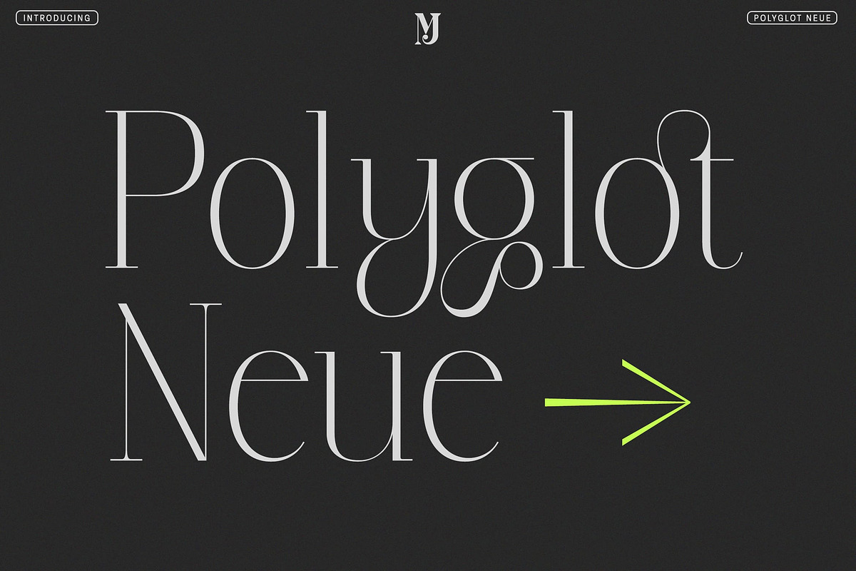 Polyglot Neue, a Serif Font by MJtypefoundry (Photo 1 of 13)
