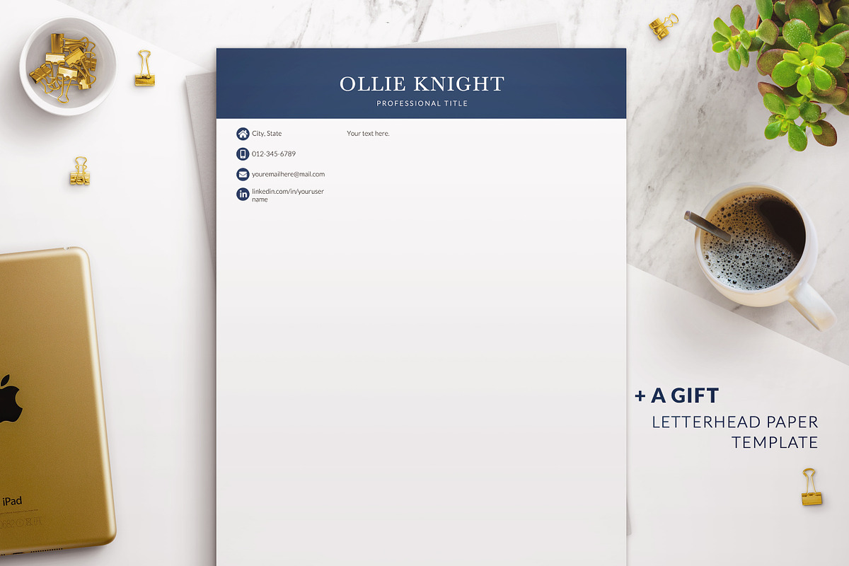Modern Executive Resume Template, a Resume Template by BestResumes.Co (Photo 9 of 9)
