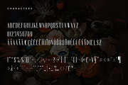 Sorcha Display font + Swashes, a Font by VP Fonts (Thumbnail 9 of 14)