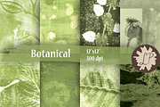 Botanical Painted Papers, a Pattern Graphic by Liz Plummer (Thumbnail 1 of 5)