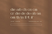 Gadies Elegant Serif Font, a Serif Font by Elegant Font (Thumbnail 8 of 8)