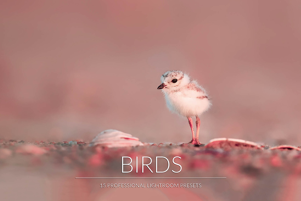 Birds Lr Presets, an Action Add-On by PandoraDreams (Photo 1 of 5)