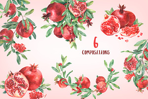 Pomegranate Watercolor Collection