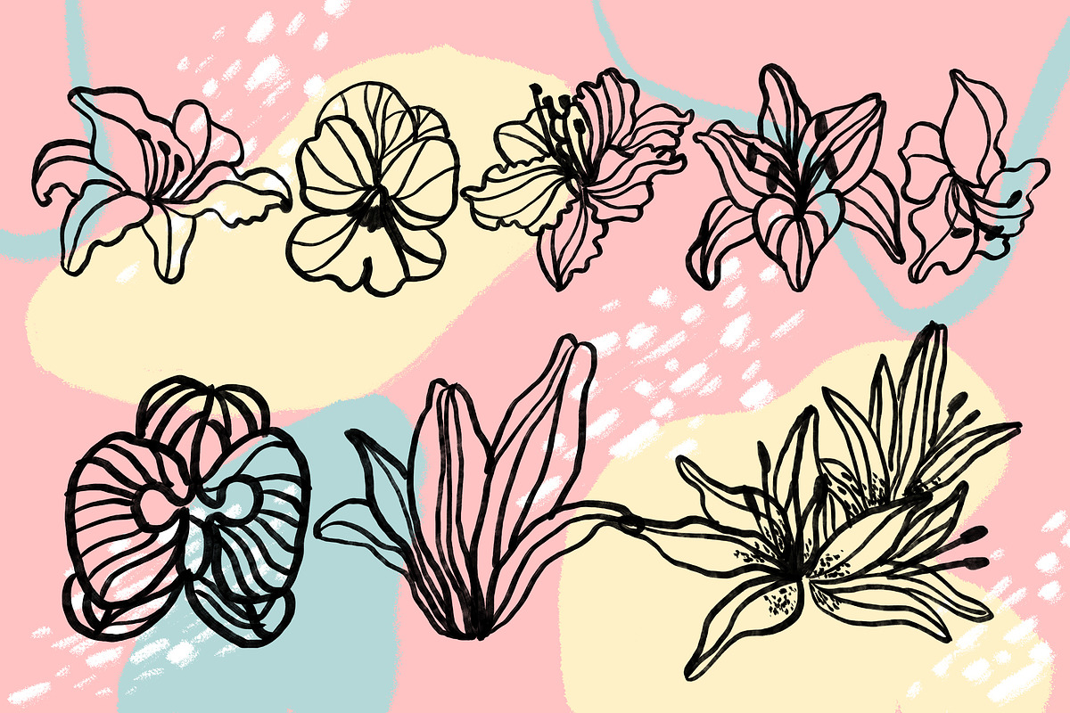 Flowers and Plants Minimalist Set, an Illustration by Anny (Photo 4 of 10)