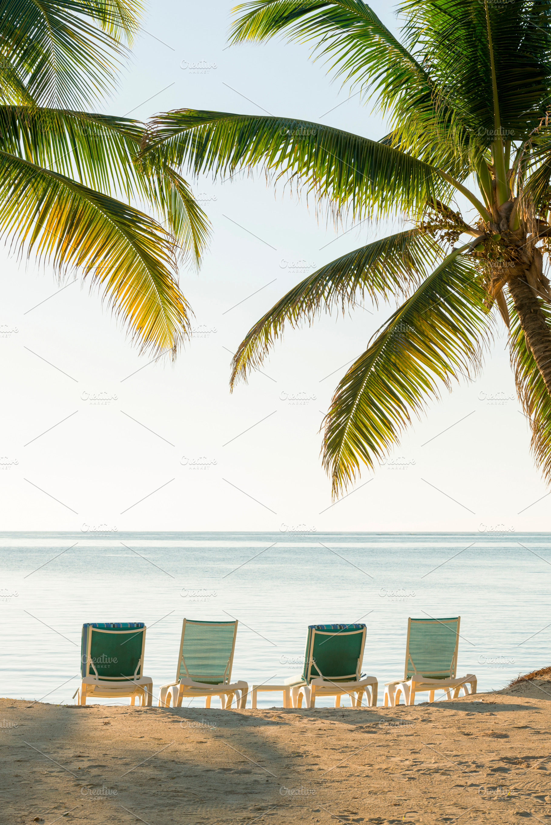 Tropical Island Deckchairs, a Holiday Photo by THP Creative