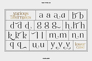 TAN - GARLAND, a Serif Font by TanType (Thumbnail 11 of 16)