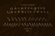 Billang – Elegant Serif Font, a Serif Font by Graphicxell (Thumbnail 8 of 8)