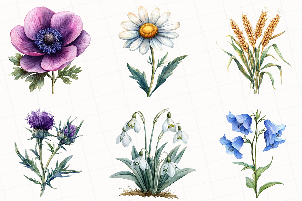 Vintage Botanical Clipart, an Illustration by OK Design (Photo 5 of 5)