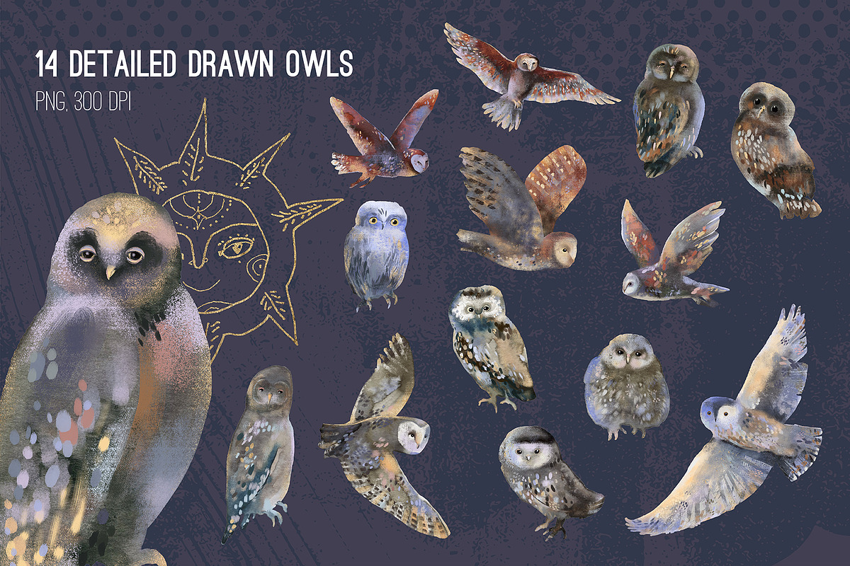 Magic owls: 280 elements for design, an Animal Illustration by Shusha Guna Art (Photo 2 of 23)