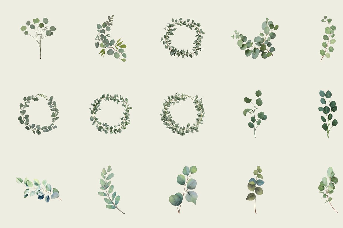 60 Watercolor Eucalyptus PNG Clipart, a Graphic by Graphicspixel (Photo 4 of 10)