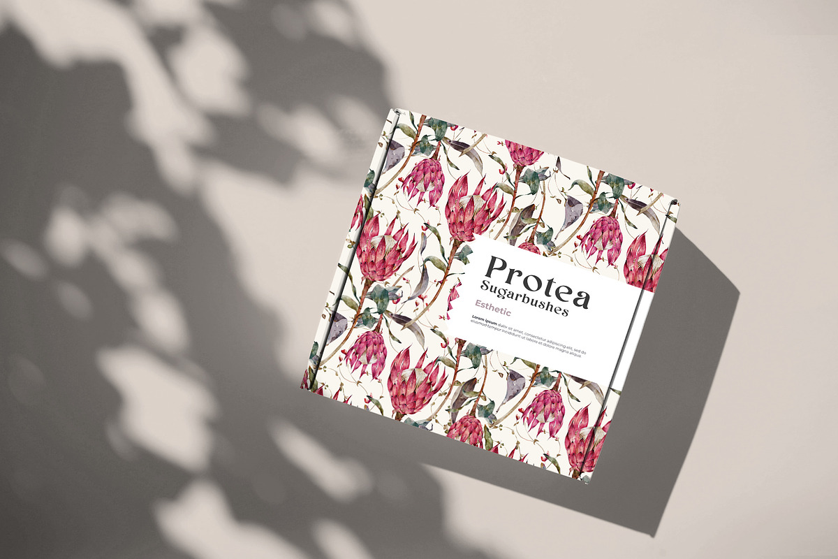Watercolor Protea Floral Elements, a Decorative Illustration by Damian Roh (Photo 5 of 12)