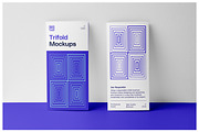 Flayer Trifold and Brochure Mockups, a Mockup by Mr.Mockup™ (Thumbnail 5 of 18)