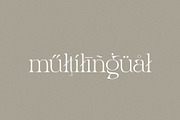 Night Whispers - Elegant Serif, a Serif Font by Mikhail Kitsune (Thumbnail 10 of 10)