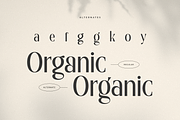 Royal - Modern Unique Display Font, a Serif Font by Sensatype (Thumbnail 4 of 15)