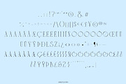 CYTRONI Modern Mix Font Duo, a Serif Font by ana & yvy (Thumbnail 29 of 34)