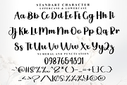 Season Christmas, a Handwritten Font by InermediaSTUDIO (Thumbnail 4 of 8)