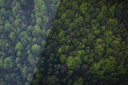 Aerial & Drone Photography Lightroom, an Action Add-On by PhotoMarket (Thumbnail 18 of 42)
