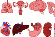 Anatomical human organ, a Graphic by Elena Mykhailenko (Thumbnail 3 of 3)
