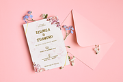 Valentine Rose-Modern Valentine Font, a Serif Font by overlaytemplates (Thumbnail 3 of 5)