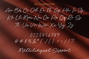 Benjamin Kingdom Font, a Handwritten Font by Timurtype (Thumbnail 6 of 7)