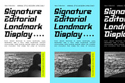Landmark Authentic Experience Modern, a Sans Serif Font by timelesstype.co (Thumbnail 2 of 10)