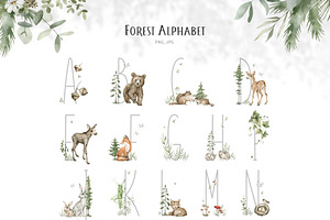 Forest Babies. Wild Animals Clipart