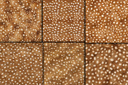 Realistic Fawn Print Fur Texture, a Pattern Graphic by Artonix (Thumbnail 3 of 4)