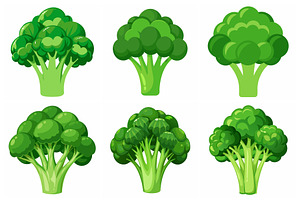 Fresh Green Broccoli Florets, an Object Graphic by Billah Hub