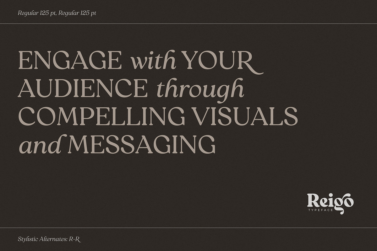 Reigo Complete Family, a Font by Digitype Studio (Photo 9 of 15)