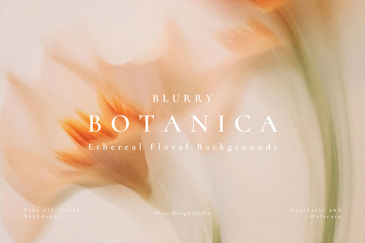 Aesthetic Blurry Floral Backgrounds, a Background Graphic by Altea Design Studio (Photo 1 of 14)