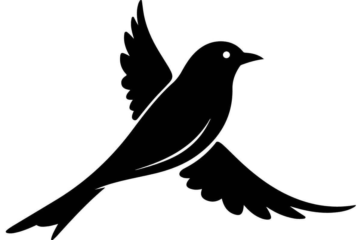 Forest Sky Birds Illustration Vector, an Animal Illustration by Designer_Momina (Photo 4 of 21)