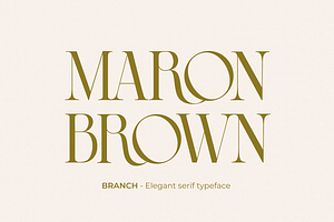 BRANCH - Elegant Serif Typeface