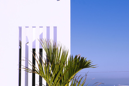 Fashion Canarian minimal location and palm tree. Travel aestheti, a Nature Photo by Jenya Porechenskaya