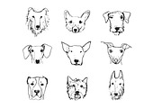 Funny Dog Heads (sketch style), an Animal Illustration by Anna Isaeva (Thumbnail 2 of 3)