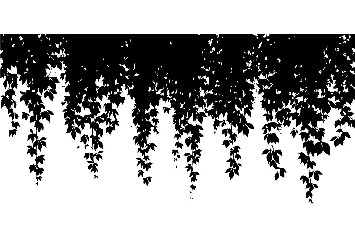 Hanging Vines Silhouette, an Object Graphic by Creativeshirt (Photo 11 of 20)
