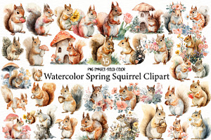 Watercolor Spring Squirrel Clipart, an Illustration by Designworld