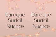 Gabrieli - Fancy Modern Sans Display, a Sans Serif Font by Cloverons (Thumbnail 3 of 14)