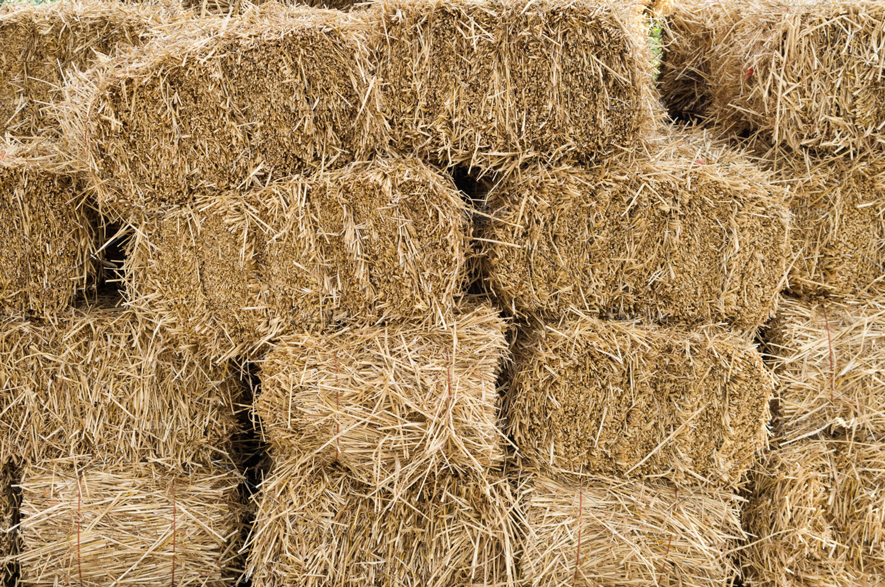Hay bales in a large pile