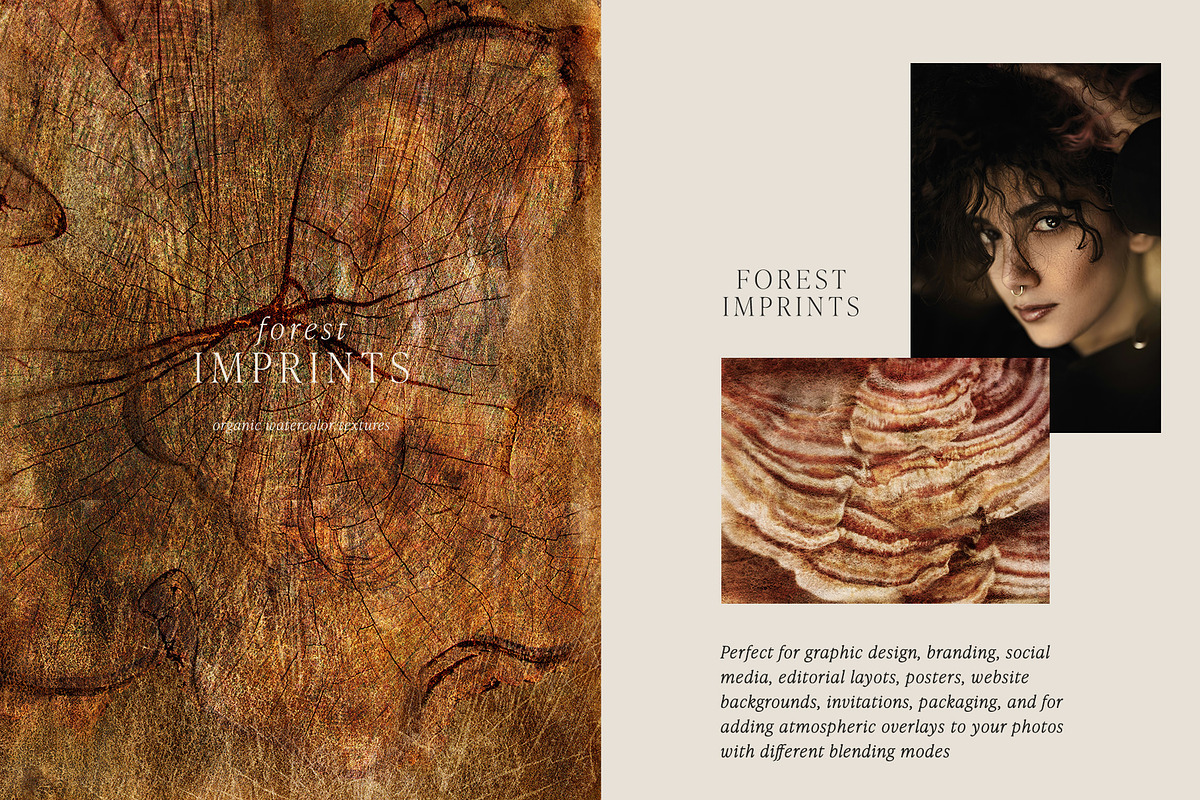 Forest Imprint Botanical backgrounds, a Background Graphic by Yuliya Derbisheva (Photo 2 of 11)