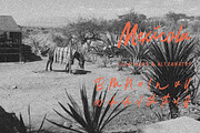 La Placha Aesthetic Brush Font, a Script Font by Hishand Studio (Thumbnail 6 of 8)