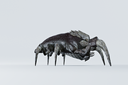 Monster Bug, a Characters & Person 3D Model by NojskaAksjon (Thumbnail 3 of 22)