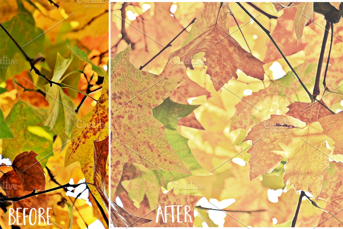 Matte Photoshop Actions, an Action Add-On by TeaBerry (Photo 4 of 5)
